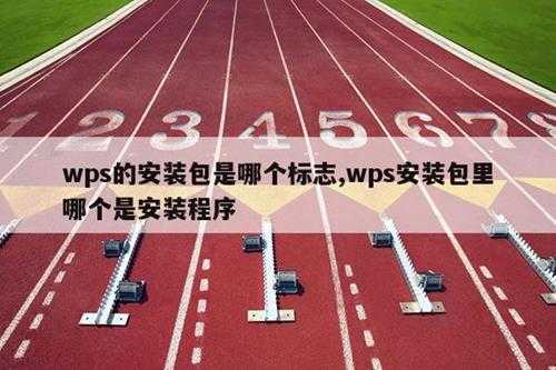 wps的安装包是哪个标志,wps安装包里哪个是安装程序