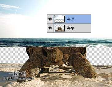 photoshop合成制作海龟岛&shy;自然场景