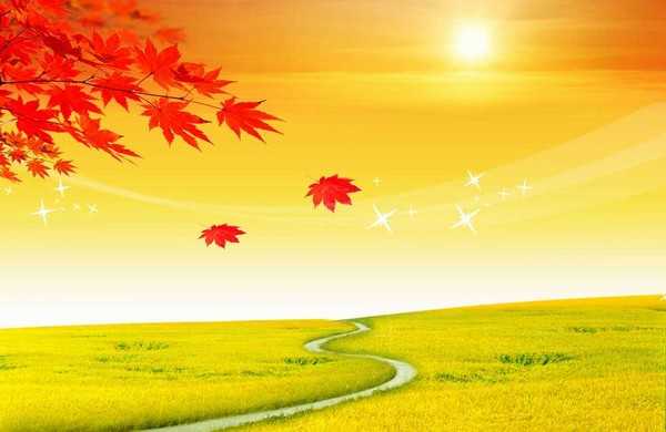 摄影技巧:教你如何拍出最美的秋天树叶风景