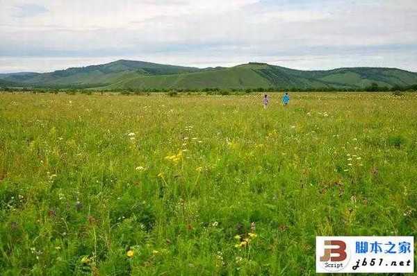 从呼伦贝尔大草原回来 摄影师惊呼原来天堂的颜色是绿色！
